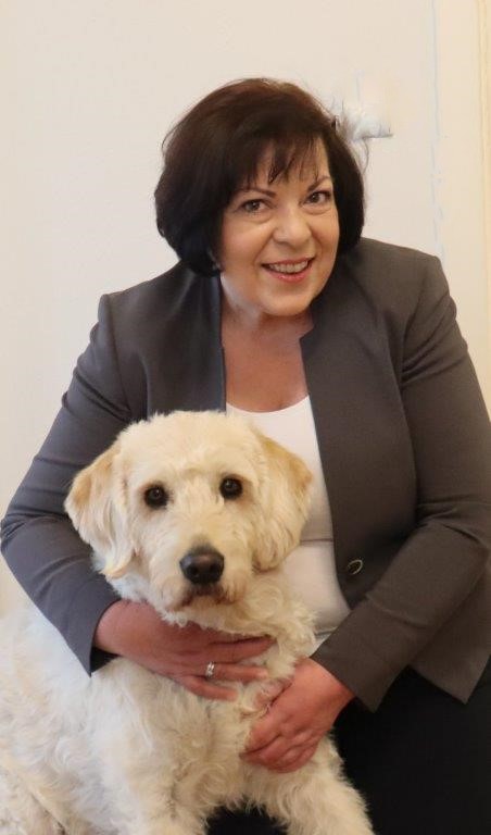 Bürohund Uno – kein Fan von Homeoffice